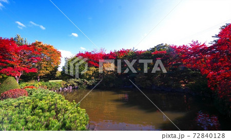 令和2年平岡樹芸センターの晩秋 令和2年平岡樹芸センターの晩秋 72840128