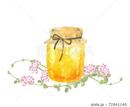 ハチミツとレンゲの花の水彩画 72841140
