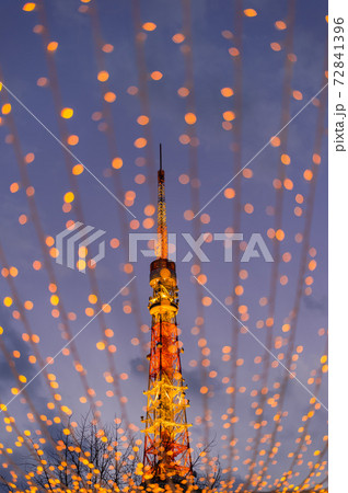 東京都港区芝公園のクリスマスイルミネーション 東京都港区芝公園のクリスマスイルミネーション 72841396