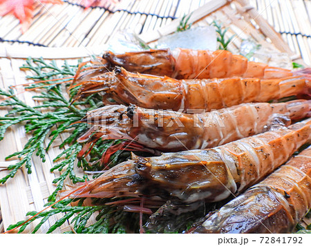 幻のエビ ガサエビ 72841792