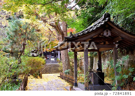 鎌倉古寺の美しい紅葉と風情のある手水場 鎌倉古寺の美しい紅葉と風情のある手水場 72841891
