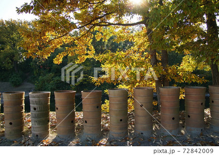 今城塚古墳公園 円筒埴輪列 今城塚古墳公園 円筒埴輪列 72842009