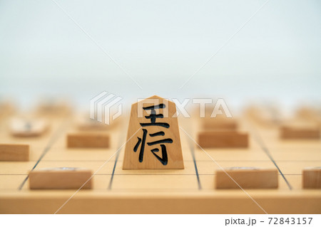 将棋イメージ 72843157