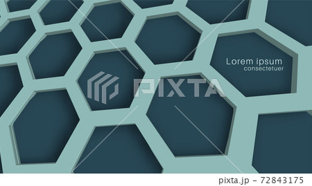 Blue honeycomb outline background. perspective view on polygons. 3D geometry vector illustration 72843175