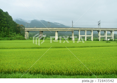 福島駅から仙台駅までの東北線車窓からの風景 福島駅から仙台駅までの東北線車窓からの風景 72843542