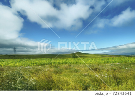 中国河北省 張北 草原天路 / Caoyuan Tianlu, Zhangbei, China 72843641