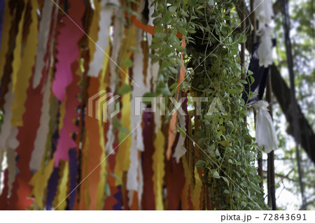 Hanging colorful fabric decorated in the garden 72843691
