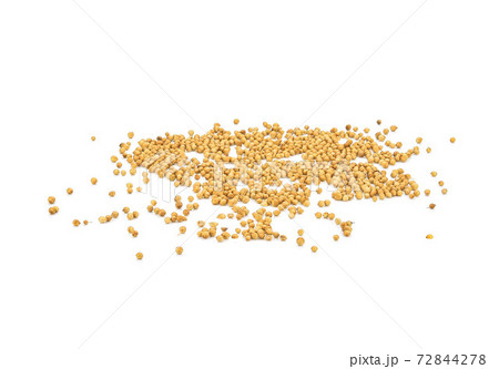 Pile of Organic Dried coriander seeds (Coriandrum sativum) isolated on white background. Pile of Organic Dried coriander seeds (Coriandrum sativum) isolated on white background. 72844278
