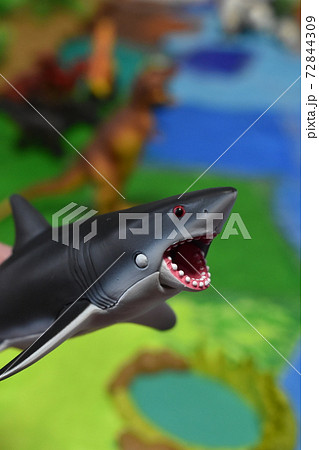 サメ、シャーク 72844309