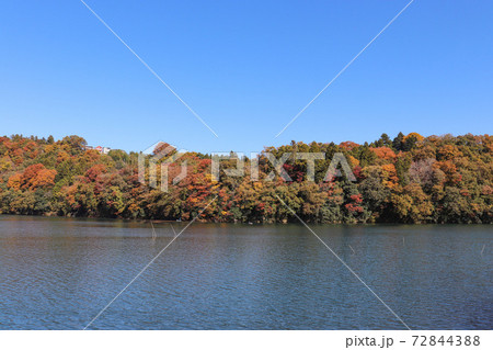 島田湖の紅葉(山梨県上野原市) 島田湖の紅葉(山梨県上野原市) 72844388