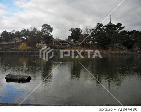 日本情緒・文化：奈良市の采女神社の前の猿沢池と興福寺の五重塔 72844480