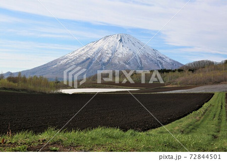 春の羊蹄山 72844501