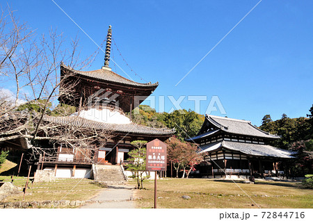 根来寺　大塔(左)・大伝法堂(右) 72844716