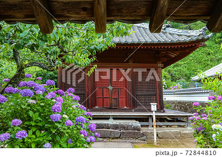 三河のあじさい寺、本光寺〈愛知県額田郡〉 三河のあじさい寺、本光寺〈愛知県額田郡〉 72844810