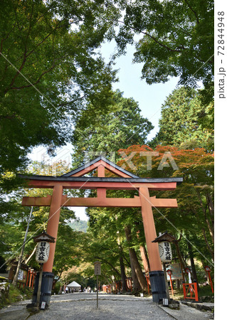 日吉大社　鳥居 72844948