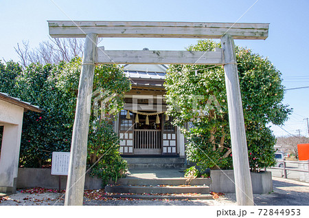 静岡県賀茂郡東伊豆町稲取のどんつく神社 72844953