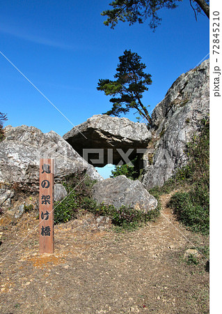 丹波市鐘ヶ坂　の金山城跡の手前にある　鬼の架け橋　と木々が青空に映える　縦位置 72845210