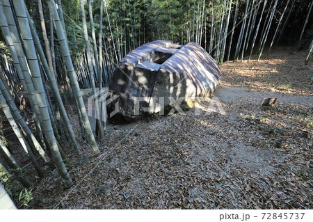 奈良県　益田岩船 72845737