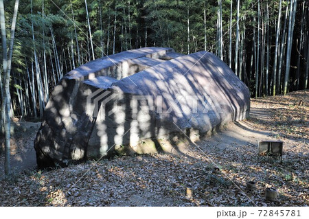 奈良県　益田岩船 72845781