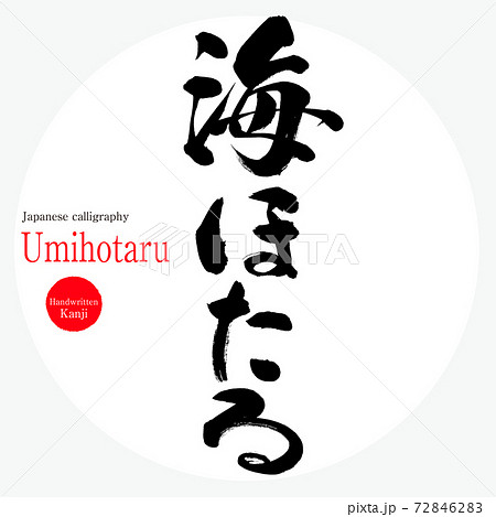 海ほたる Umihotaru 筆文字 手書き のイラスト素材