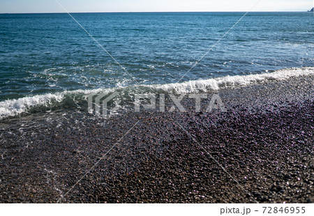 海 海 72846955