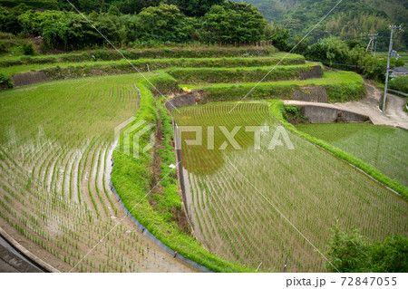 棚田 72847055
