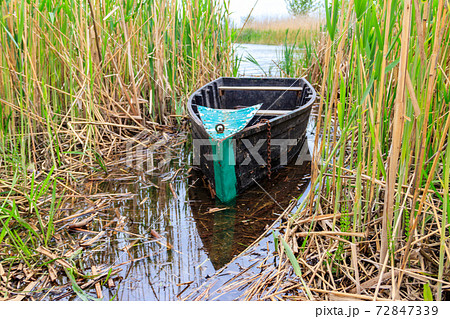 Old wooden boat in the reed on the riverbank 72847339