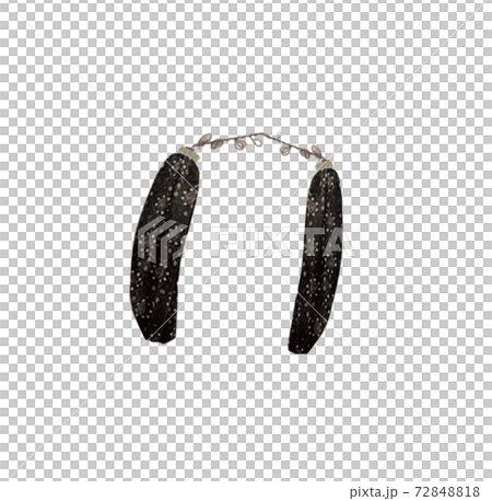 ぬんちゃく 72848818