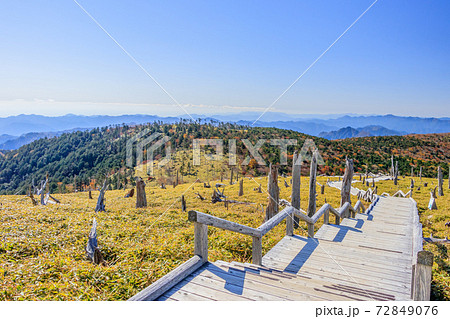 秋の正木ヶ原　大台ヶ原　奈良県 72849076