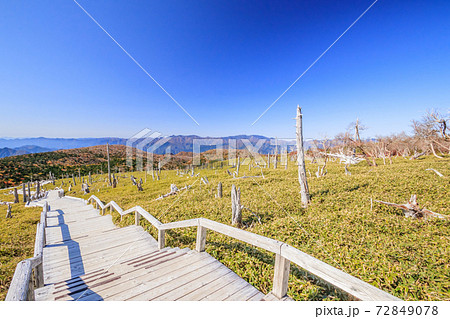 秋の正木ヶ原　大台ヶ原　奈良県 72849078