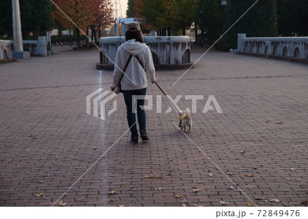 犬の散歩のイメージ 犬の散歩のイメージ 72849476