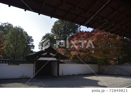 龍吟庵 南庭 龍吟庵 南庭 72849821