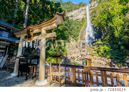 飛瀧神社と那智の滝 和歌山県那智勝浦町 飛瀧神社と那智の滝 和歌山県那智勝浦町 72850024