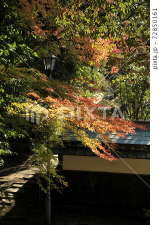 熊本市　立田自然公園　紅葉、 72850161