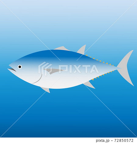 青い海の背景にマグロのイラスト tuna in ocean background illust 青い海の背景にマグロのイラスト tuna in ocean background illust 72850572
