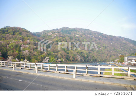 渡月橋 / 春 72851071