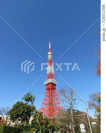 青空と東京タワー 青空と東京タワー 72851386