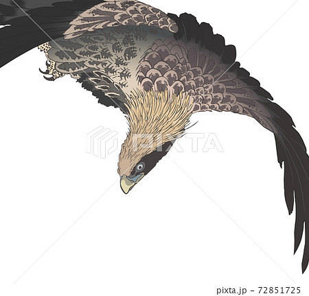 鷲 鷹 歌川広重 鷲 鷹 歌川広重 72851725