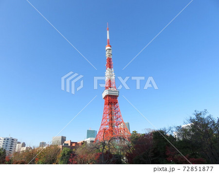 芝公園から見える東京タワー 72851877