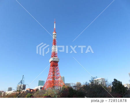 芝公園から見える東京タワー 芝公園から見える東京タワー 72851878