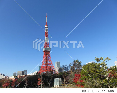 秋の芝公園から見える東京タワー 秋の芝公園から見える東京タワー 72851880