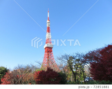 秋の芝公園から見える東京タワー 72851881