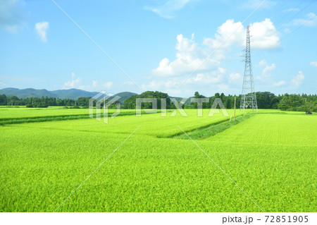 郡山駅から会津若松駅までの磐越西線車窓からの風景 72851905