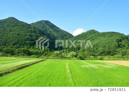 郡山駅から会津若松駅までの磐越西線車窓からの風景 72851921