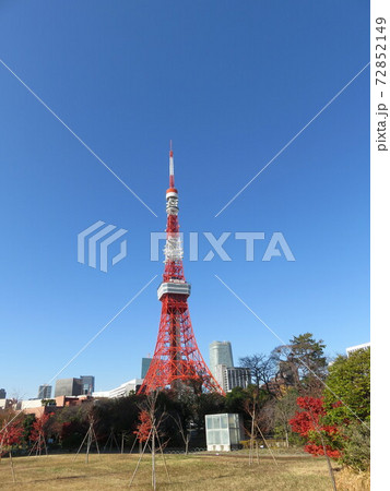 秋の芝公園から見える東京タワー 72852149