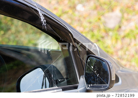 鳥の糞が付いた車 72852199