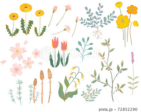 オシャレなお花と葉っぱのかわいい植物イラストのイラスト素材