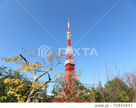 秋の芝公園から見える東京タワー 秋の芝公園から見える東京タワー 72852647