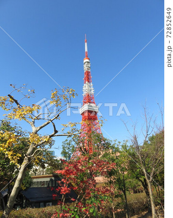 秋の芝公園から見える東京タワー 72852649