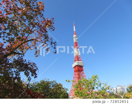秋の芝公園から見える東京タワー 秋の芝公園から見える東京タワー 72852651